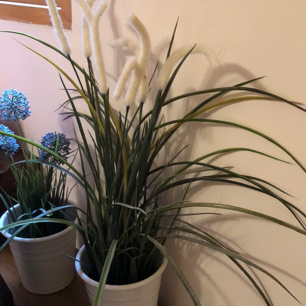 Meet your Posher, Cathy